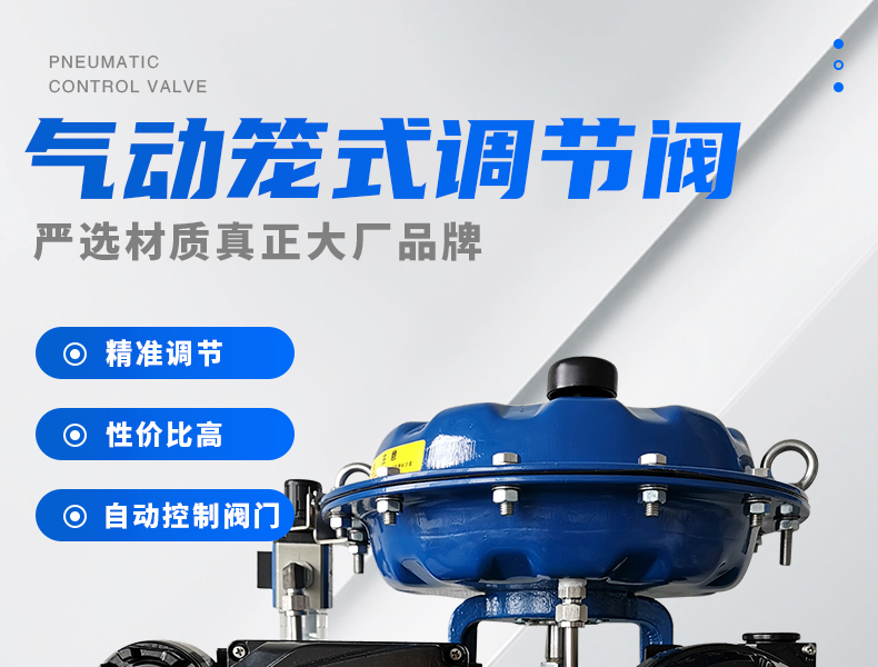 气动笼式调节阀-首龙_01.jpg