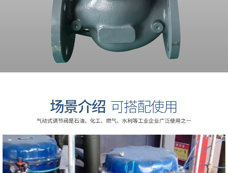 气动笼式调节阀-首龙_15.jpg